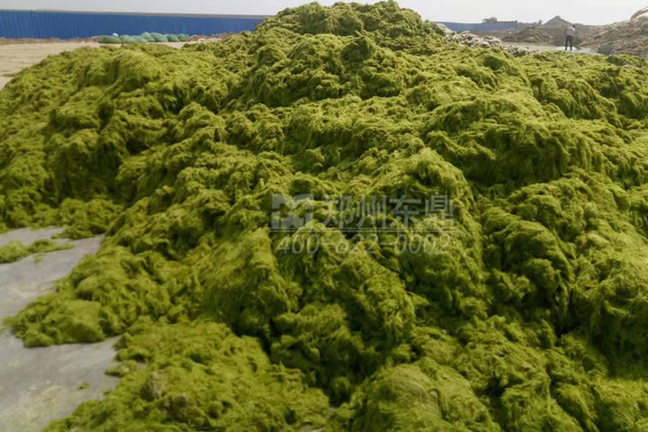 牧草烘干機(jī)如何科學(xué)選型？牧草烘干過程中營養(yǎng)成分會流失嗎