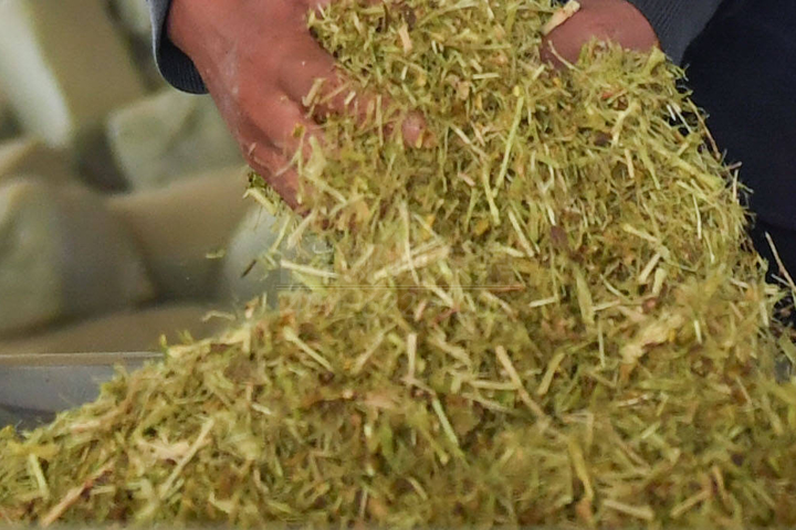 生物質(zhì)烘干機廠家鄭州東鼎干燥開發(fā)了大型檸條烘干機成套設備，實現(xiàn)了檸條資源規(guī)模化利用之路。